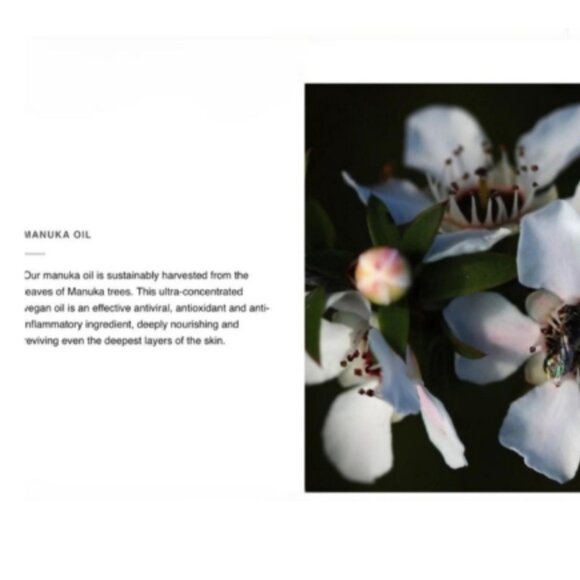 Cannuka Cannaluxe Manuka Honey Eye Balm Anti-Aging RT$65 Rare Hard to Find - Picture 6 of 6